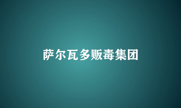 萨尔瓦多贩毒集团