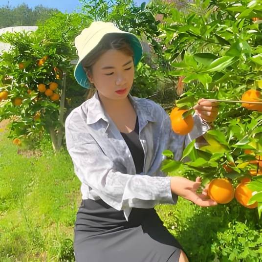 广西小九妹