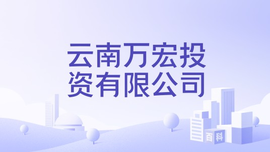 云南万宏投资有限公司