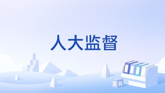 人大监督