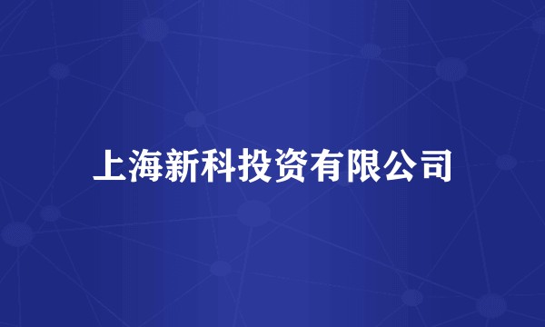 上海新科投资有限公司