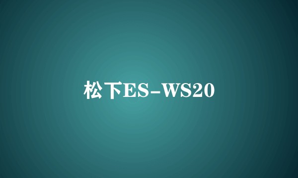 松下ES-WS20