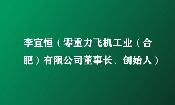 李宜恒（零重力飞机工业（合肥）有限公司董事长、创始人）