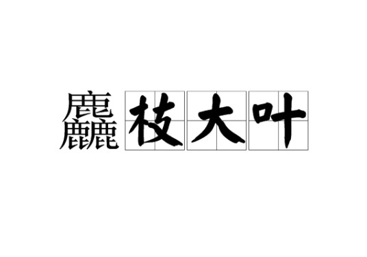 麤枝大叶