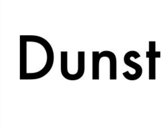 Dunst（服装品牌）
