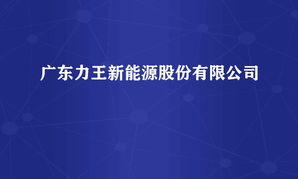 广东力王新能源股份有限公司
