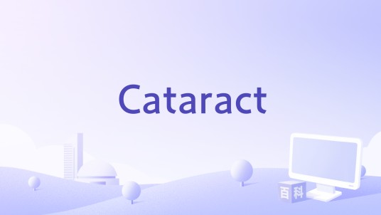Cataract（2005年Sainath Choudhury执导的电影）