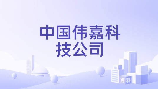 中国伟嘉科技公司