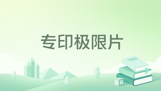 专印极限片