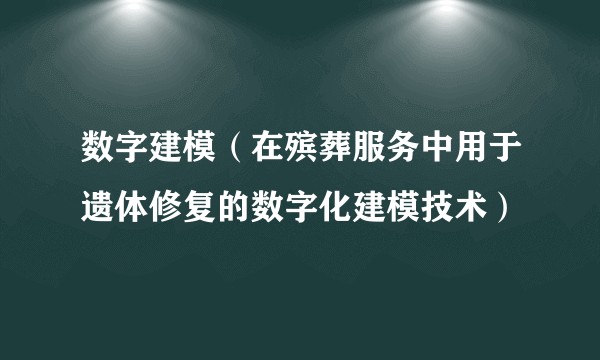 数字建模（在殡葬服务中用于遗体修复的数字化建模技术）