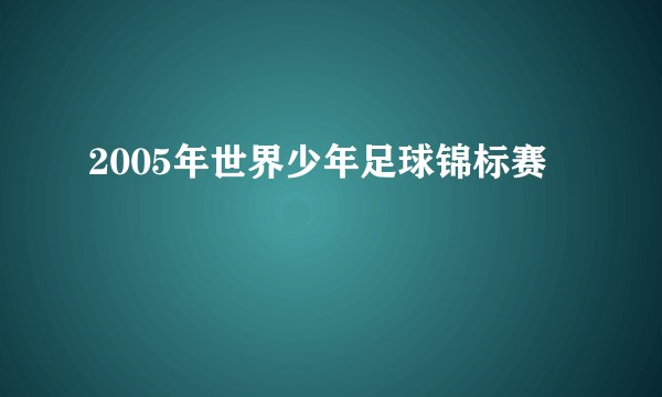 2005年世界少年足球锦标赛