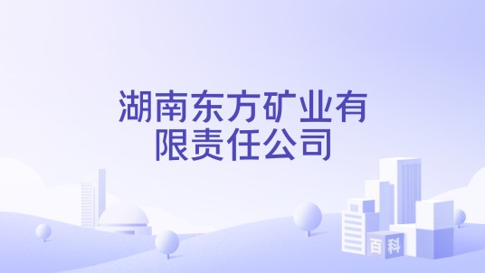 湖南东方矿业有限责任公司