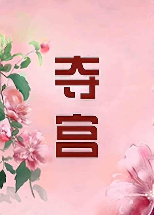 夺宫（希昀创作的网络小说）