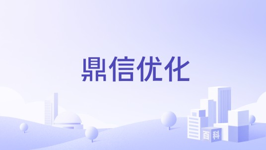 鼎信优化