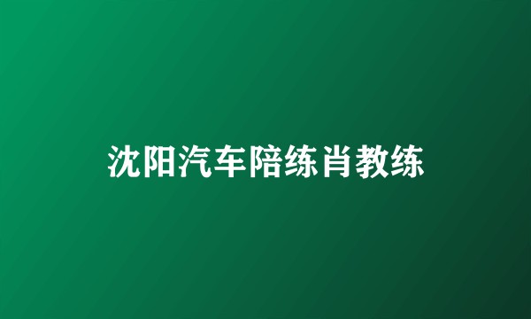 沈阳汽车陪练肖教练