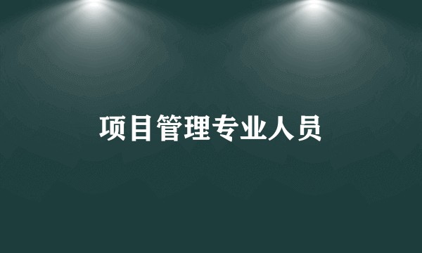 项目管理专业人员