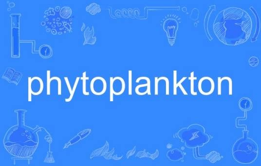 phytoplankton（英语单词）