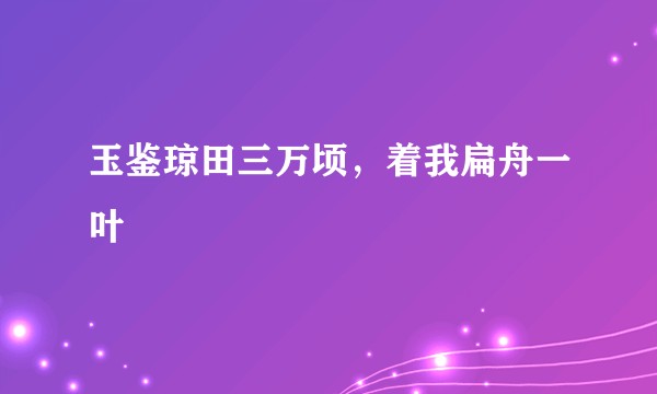 玉鉴琼田三万顷，着我扁舟一叶