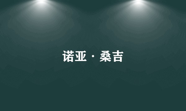 诺亚·桑吉