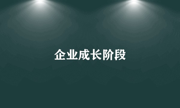 企业成长阶段