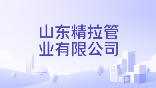 山东精拉管业有限公司