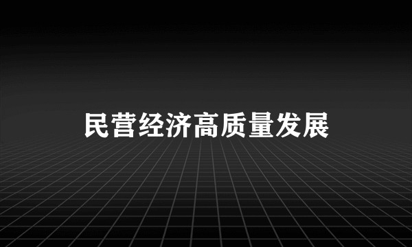民营经济高质量发展