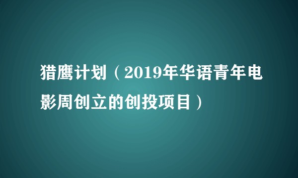 猎鹰计划（2019年华语青年电影周创立的创投项目）
