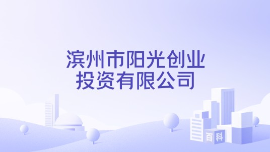 滨州市阳光创业投资有限公司