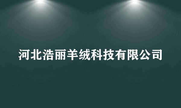河北浩丽羊绒科技有限公司