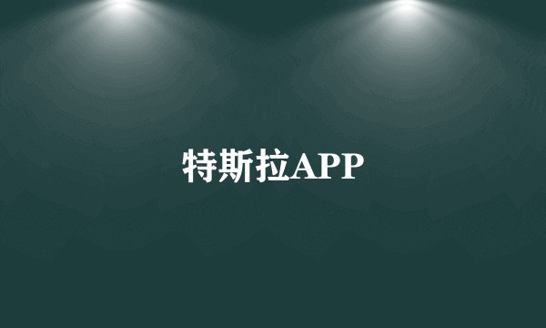 特斯拉APP