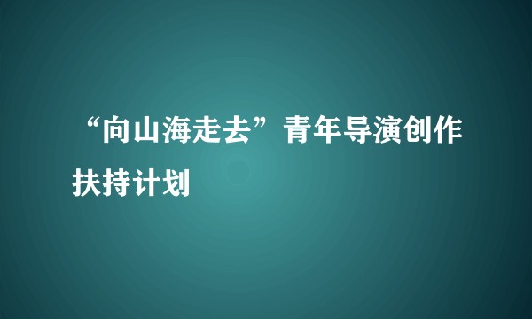 “向山海走去”青年导演创作扶持计划