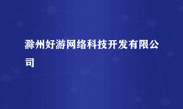 滁州好游网络科技开发有限公司