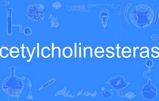 acetylcholinesterase