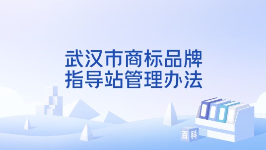 武汉市商标品牌指导站管理办法