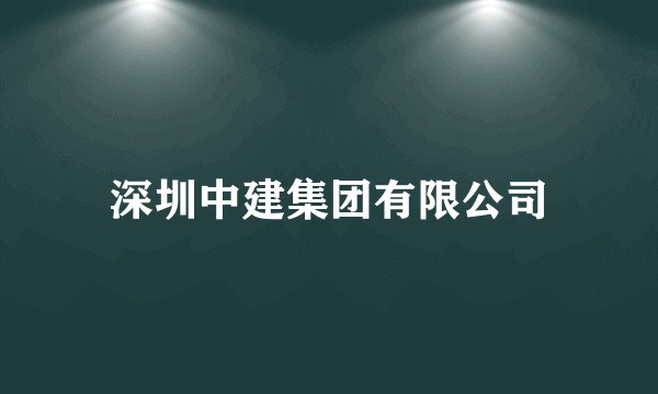深圳中建集团有限公司