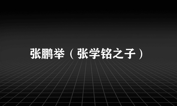 张鹏举（张学铭之子）