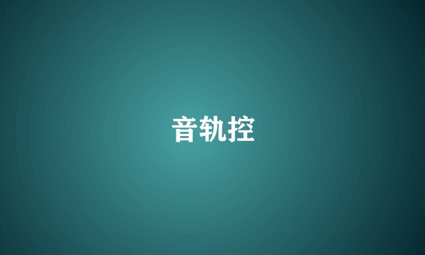 音轨控
