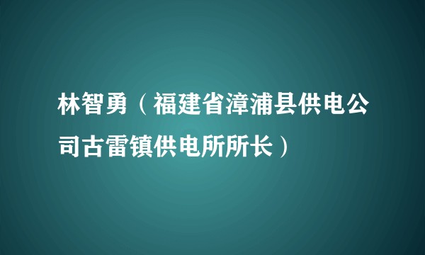 林智勇(福建省漳浦县供电公司古雷镇供电所所长)
