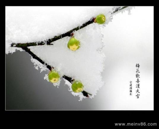 雪漫天