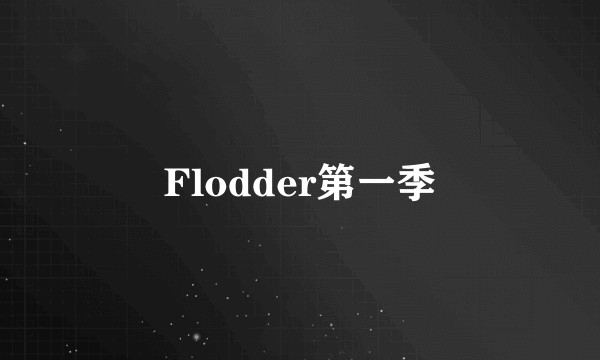 Flodder第一季