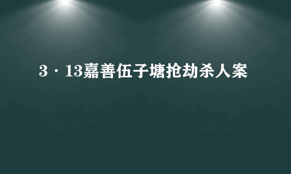 3·13嘉善伍子塘抢劫杀人案