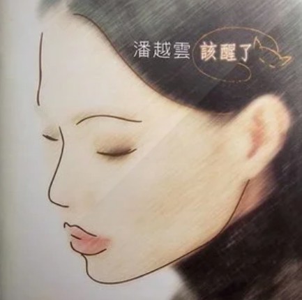 于心何忍（潘越云演唱歌曲）