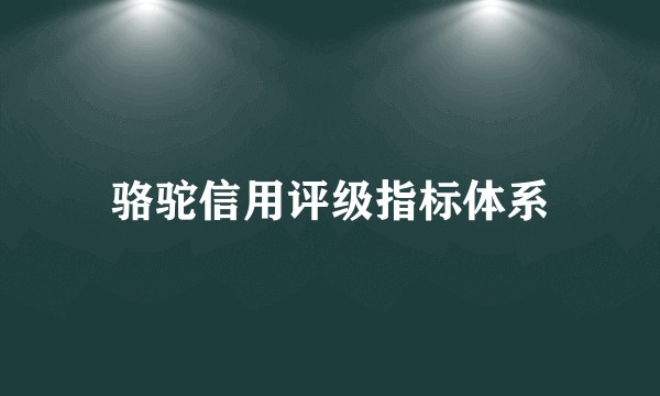 骆驼信用评级指标体系