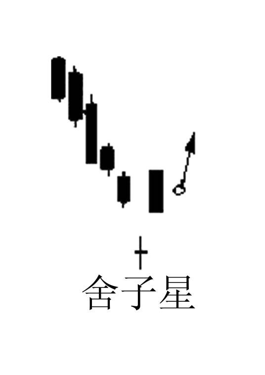 舍子星