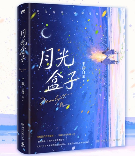 月光盒子（2024年湖南文艺出版社出版的言情小说）