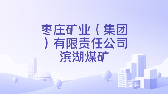 枣庄矿业（集团）有限责任公司滨湖煤矿