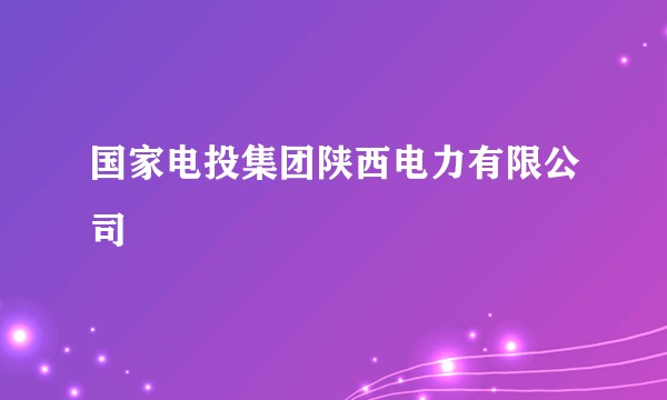 国家电投集团陕西电力有限公司