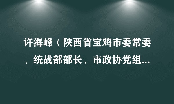 许海峰（陕西省宝鸡市委常委、统战部部长、市政协党组副书记）