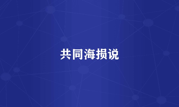 共同海损说