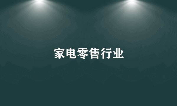 家电零售行业